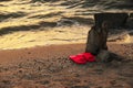 Summer vacation concept. red Flipflops on a sandy ocean beach. The sunset, the beach, the remains of the old pier Royalty Free Stock Photo