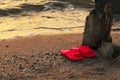 Summer vacation concept. red Flipflops on a sandy ocean beach.Wild uncomfortable beach. The sunset, the beach, the Royalty Free Stock Photo