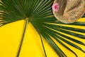 Summer vacation concept. stylish hat and green palm leaves on yellow background Royalty Free Stock Photo