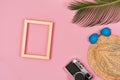 Summer vacation concept. stylish sunglasses, retro photo camera and green palm leaves on pink background Royalty Free Stock Photo