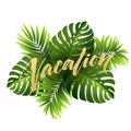 Summer vacation handwriting. Typography, lettering and calligraphy. Poster and flyer design template. The palm and Royalty Free Stock Photo