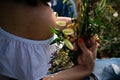 Summer vacation in nature with a bouquet of flowers lying in the grass Royalty Free Stock Photo