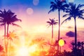 Tropical palm tree with colorful bokeh sun light on sunset sky cloud abstract background Royalty Free Stock Photo