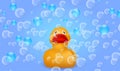 Inflatable rubber duck in the soupy foam Royalty Free Stock Photo