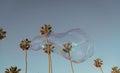 summer vacation. soap bubbles. sky and palm trees. urban landscape. huge soap bubble blower Royalty Free Stock Photo