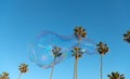 summer vacation. soap bubbles. sky and palm trees. urban landscape. huge soap bubble blower Royalty Free Stock Photo