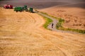 Summer vacation trip on bicycle - biker ride through gold agricultural field