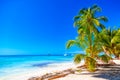 Summer vacation and tropical beach concept. Sandy beach with palms, sailboats and turquoise sea. Vacation island Royalty Free Stock Photo
