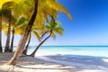 Summer vacation and tropical beach concept. Sandy beach with palms and turquoise sea. Vacation island Royalty Free Stock Photo