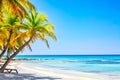 Summer vacation and tropical beach concept. Sandy beach with palms and turquoise sea. Vacation island Royalty Free Stock Photo