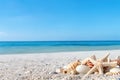 Tropical beach with sea star and seashells on sand, summer holiday background. Royalty Free Stock Photo