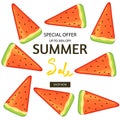 Summer vector collection Royalty Free Stock Photo