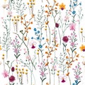 Summer Vector many kind of wild flowers seamless beautiful on white color background,