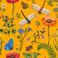 Summer vector seamless pattern. Botanical wallpaper. Plants, insects, flowers in vintage style. Butterflies, dragonflies Royalty Free Stock Photo