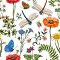 Summer vector seamless pattern. Botanical wallpaper. Plants, insects, flowers in vintage style. Butterflies, dragonflies Royalty Free Stock Photo