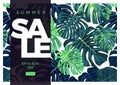 Summer vector tropical sale banner design with green monstera palm leaves