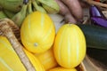 Summer Vegetable Harvest - Ginkaku Korean Melons with Eggplants and Sweet Potato Royalty Free Stock Photo