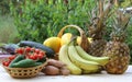 Summer Vegetable Harvest - Ginkaku Korean Melons with Pineapple, Bananas, Jalapeno Peppers and Tomato Royalty Free Stock Photo