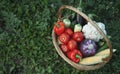 Summer vegetables in basket on a grass Royalty Free Stock Photo