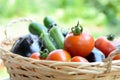 Summer vegetables in a basket Royalty Free Stock Photo