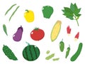 Summer vegetables2 Royalty Free Stock Photo