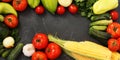 Summer vegetables: tomatoes, cucumbers, corn, parsley, bell peppers, onions, garlic and zucchini are located on a dark ba Royalty Free Stock Photo
