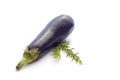 Summer vegetables on white: eggplant and rosemary Royalty Free Stock Photo