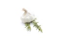 Summer vegetables on white : garlic and rosemary Royalty Free Stock Photo
