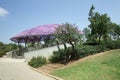 Summer veranda with wicker purple roof