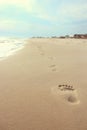 Summer Vibe Beach Footprints Royalty Free Stock Photo