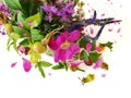 Beauty  wild flowers and pink rose hip bouquet green leaves pink yellow red blue petal and berry  with plums  on white summer flo Royalty Free Stock Photo