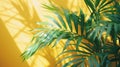 Summer Vibes: Minimal Green Tropical Palm Leaves on Yellow Background with Sunlight - Creative Flat Lay
