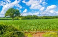 Beautiful affluent Chew Valley Somerset England