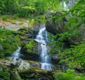 A Summer View of Apple Orchard Falls Royalty Free Stock Photo