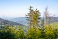 Summer View of Beskid Mountains Royalty Free Stock Photo