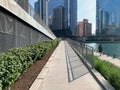 Summer view of Chicago riverwalk with shadows, greenery and commuters