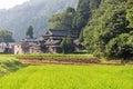 Summer view of countryside rice paddy field. Japan Royalty Free Stock Photo