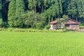 Summer view of countryside rice paddy field. Fukui Prefecture, Japan Royalty Free Stock Photo