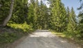 Summer view of a dirt road in the Austrian Alps . Walking path between the pine trees in Imst, Austria during a sunny summer day. Royalty Free Stock Photo