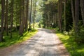 Summer view of a dirt road in the Austrian Alps . Walking path between the pine trees in Imst, Austria during a sunny summer day Royalty Free Stock Photo