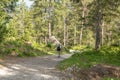 Summer view of a dirt road in the Austrian Alps . Walking path between the pine trees in Imst, Austria during a sunny summer day. Royalty Free Stock Photo