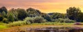 Summer view of the forest near the pond in summer during sunset, panorama Royalty Free Stock Photo