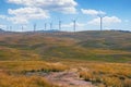 Summer view of golden-green meadow with a line of windmills. Montenegro, Krnovo wind park