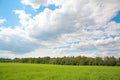 Summer view, grass, tree, clouds.