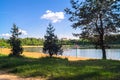 Young pines along the natural forest lake with artifical sandy beach, been adjusted for free public leisure activities. Royalty Free Stock Photo