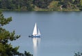 Lake view with small blue sailboat with sail reflections on the water