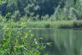 Summer view on the picturesque lake. Beautiful green lakeshore.