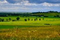 Summer view of rolling English countryside. Royalty Free Stock Photo