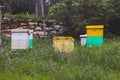 Summer view of rural apiary and honey production in Greece, bee hive colony, swarm of bees in a beehive in a countryside, Royalty Free Stock Photo