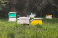 Summer view of rural apiary and honey production in Greece, bee hive colony, swarm of bees in a beehive in a countryside, Royalty Free Stock Photo